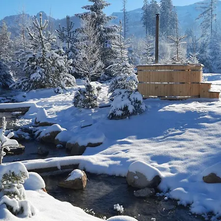 Wroblowa Przy Dolinie Chocholowskiej Chalet *