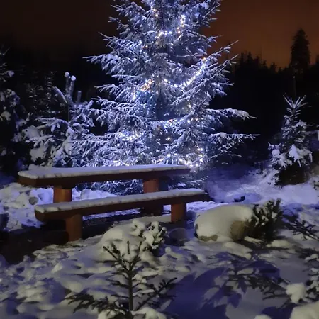 Chalet Wroblowa Przy Dolinie Chocholowskiej Witów